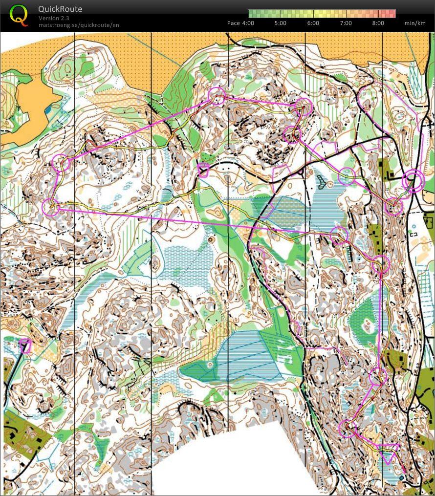 Suunnistustreeni Inkoossa (2011-12-30)